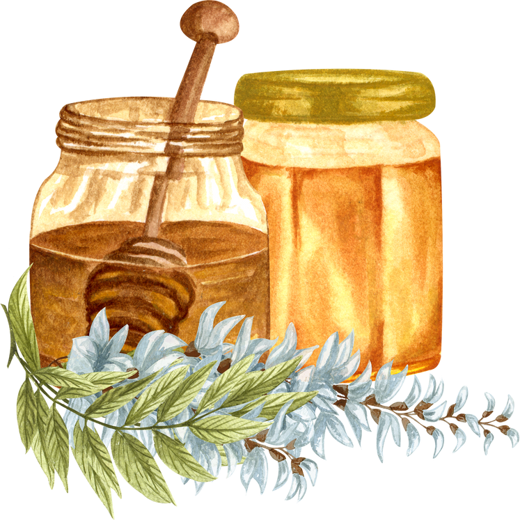 Watercolor Honey Illustration